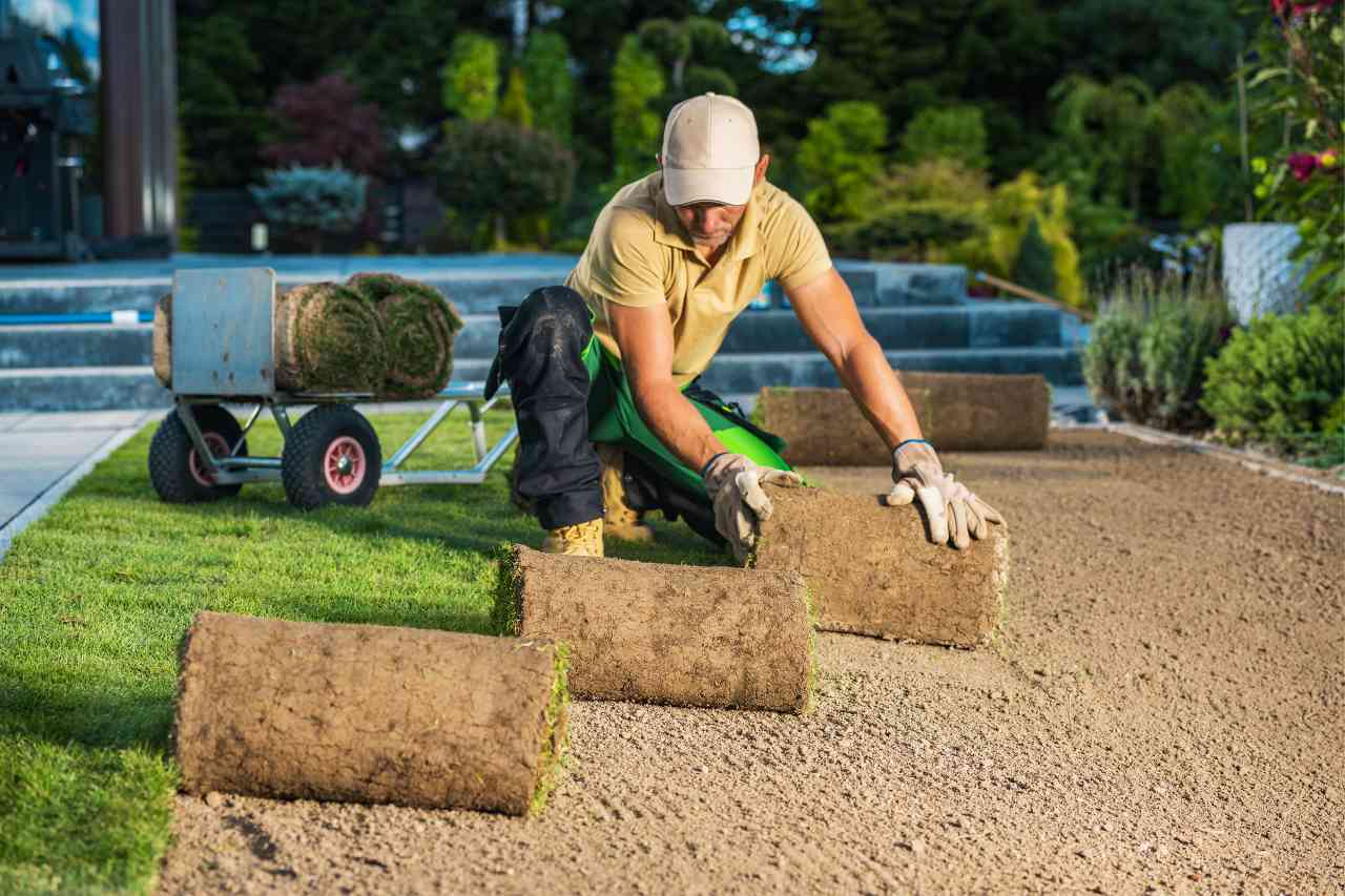 Gardening & Landscaping